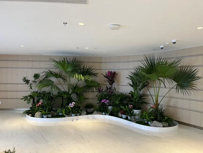 宁波杭州湾绿化养护价格实惠